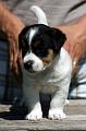 100628_roope etu